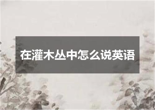 在灌木丛中怎么说英语