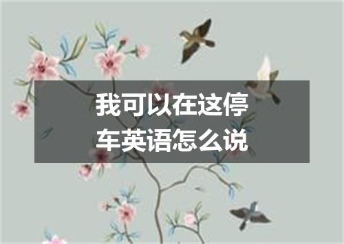 我可以在这停车英语怎么说