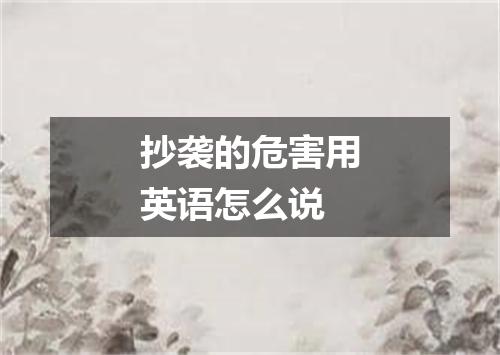 抄袭的危害用英语怎么说