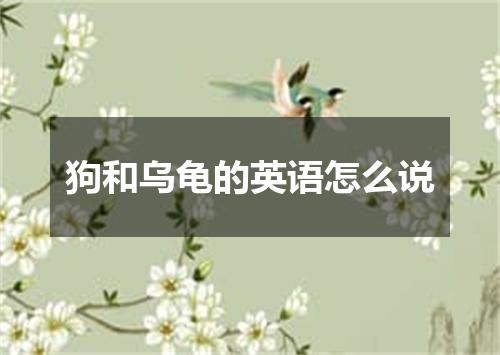 狗和乌龟的英语怎么说
