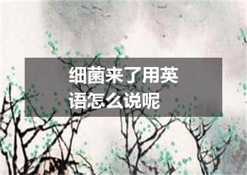 细菌来了用英语怎么说呢