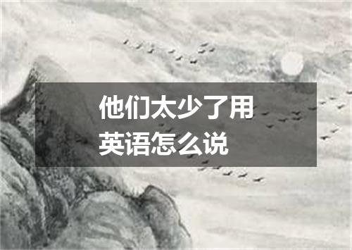 他们太少了用英语怎么说