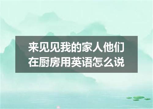 来见见我的家人他们在厨房用英语怎么说