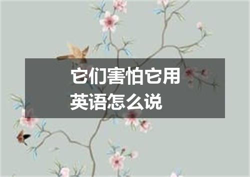 它们害怕它用英语怎么说