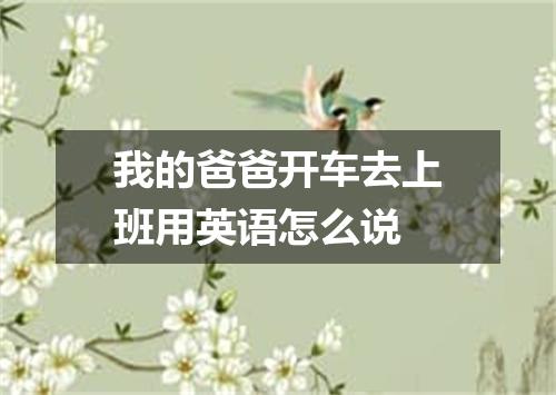 我的爸爸开车去上班用英语怎么说