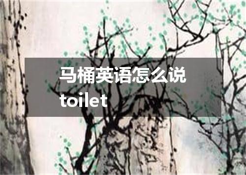 马桶英语怎么说toilet