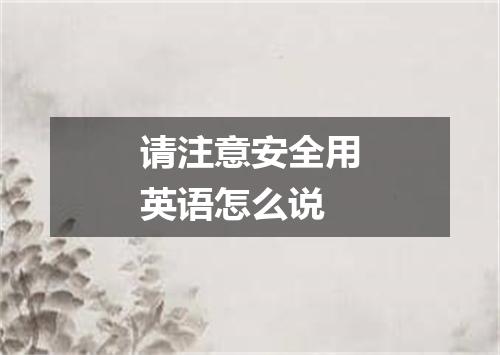 请注意安全用英语怎么说