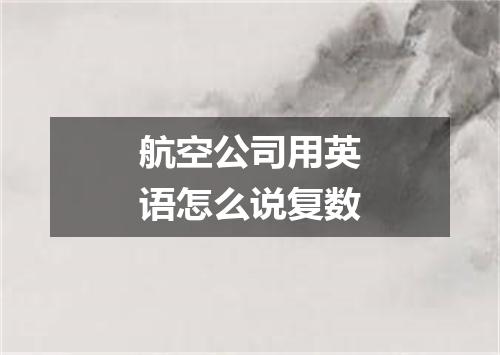 航空公司用英语怎么说复数