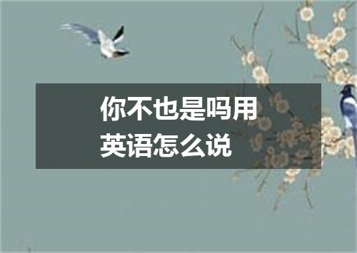 你不也是吗用英语怎么说
