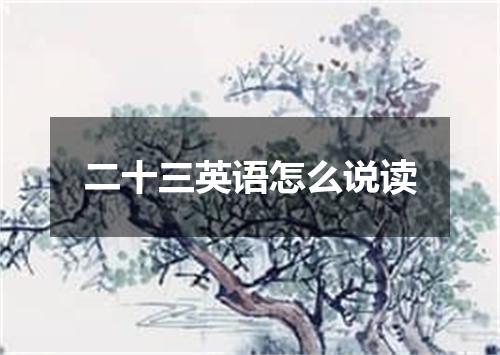 二十三英语怎么说读