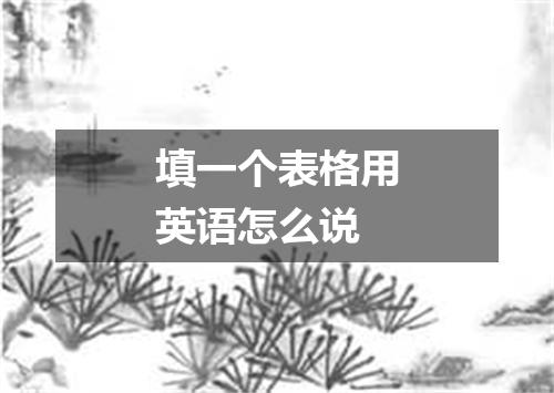 填一个表格用英语怎么说