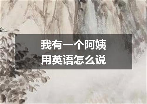 我有一个阿姨用英语怎么说