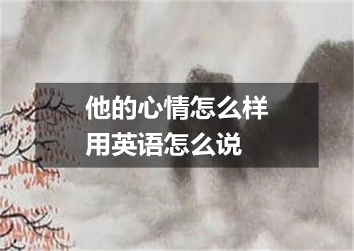 他的心情怎么样用英语怎么说