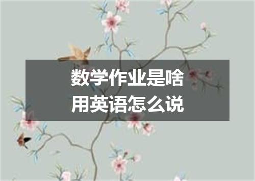 数学作业是啥用英语怎么说