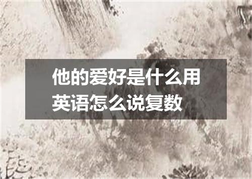 他的爱好是什么用英语怎么说复数