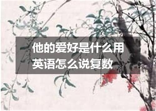 他的爱好是什么用英语怎么说复数