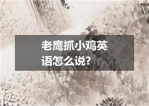老鹰抓小鸡英语怎么说?