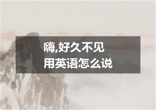 嗨,好久不见用英语怎么说