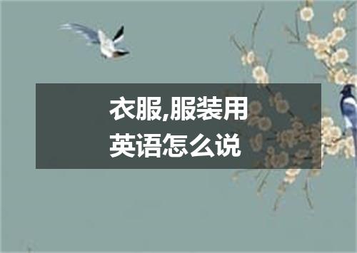衣服,服装用英语怎么说