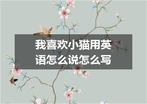 我喜欢小猫用英语怎么说怎么写
