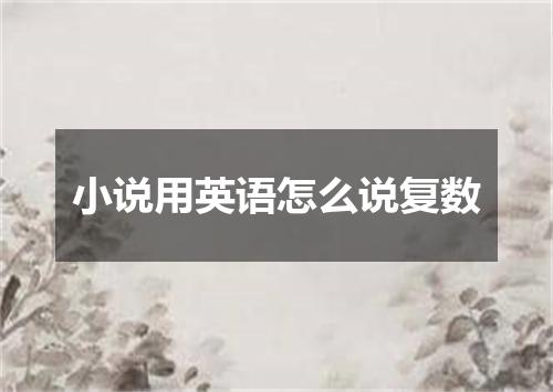 小说用英语怎么说复数