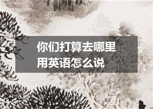 你们打算去哪里用英语怎么说