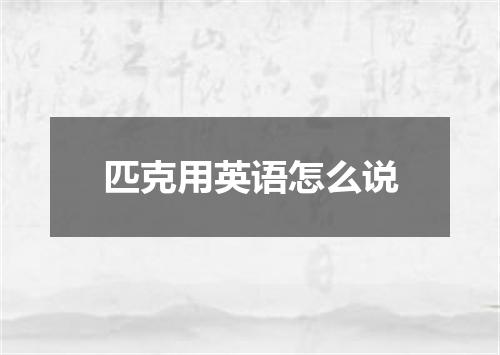 匹克用英语怎么说