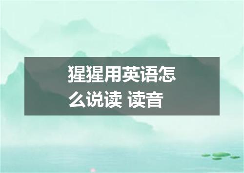 猩猩用英语怎么说读 读音