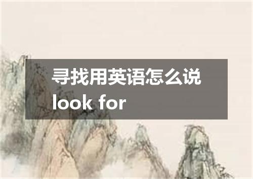 寻找用英语怎么说look for