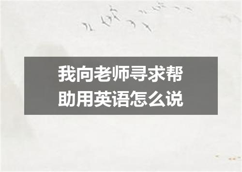 我向老师寻求帮助用英语怎么说