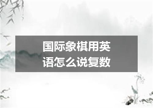 国际象棋用英语怎么说复数