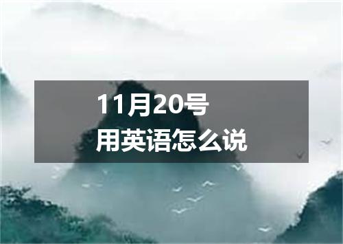 11月20号用英语怎么说