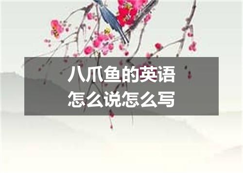 八爪鱼的英语怎么说怎么写
