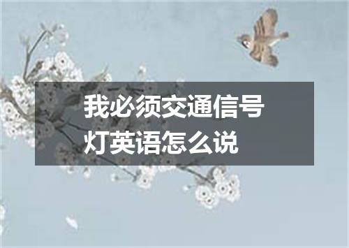 我必须交通信号灯英语怎么说