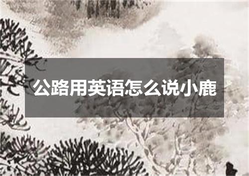 公路用英语怎么说小鹿