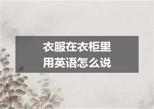 衣服在衣柜里用英语怎么说