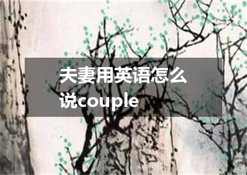 夫妻用英语怎么说couple