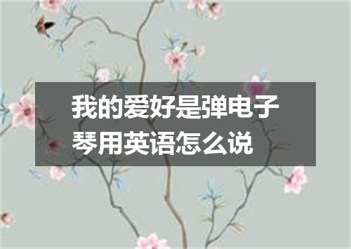 我的爱好是弹电子琴用英语怎么说