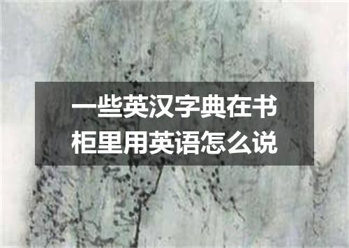 一些英汉字典在书柜里用英语怎么说