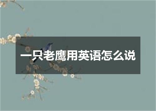 一只老鹰用英语怎么说