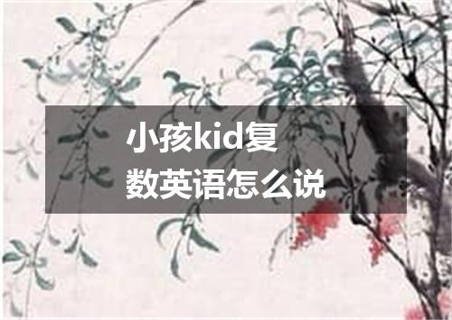 小孩kid复数英语怎么说