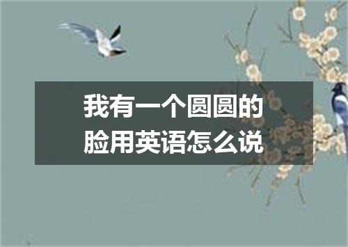 我有一个圆圆的脸用英语怎么说