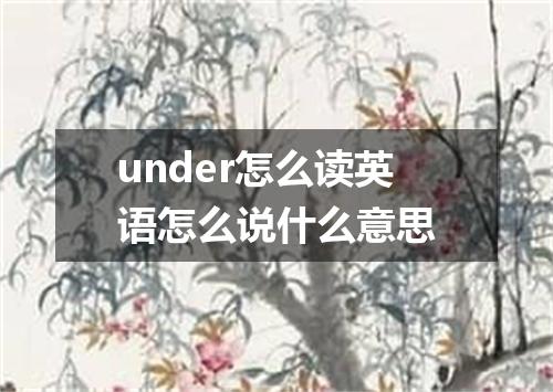 under怎么读英语怎么说什么意思