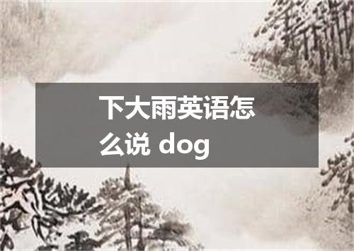 下大雨英语怎么说 dog