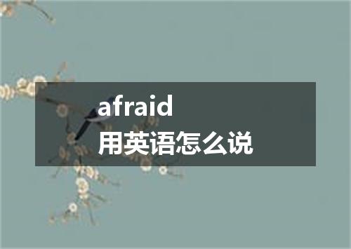 afraid用英语怎么说