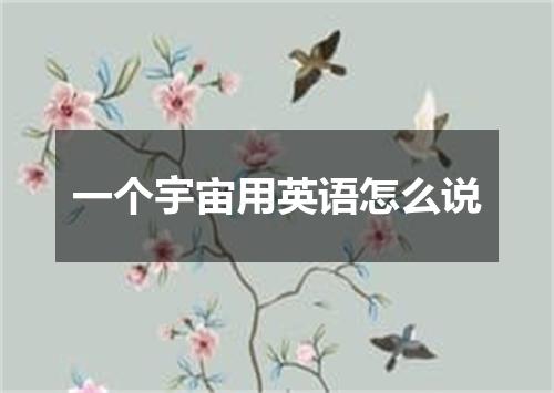 一个宇宙用英语怎么说