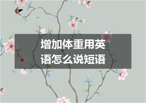 增加体重用英语怎么说短语