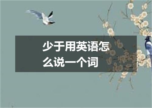 少于用英语怎么说一个词