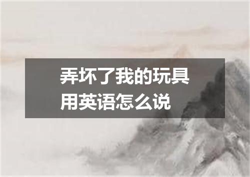 弄坏了我的玩具用英语怎么说