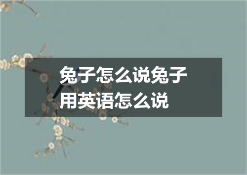 兔子怎么说兔子用英语怎么说